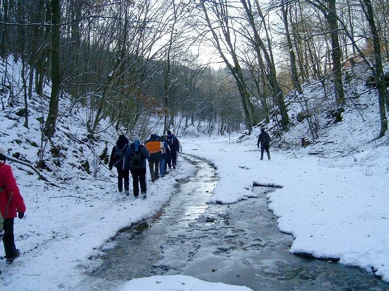 20110122 040.jpg